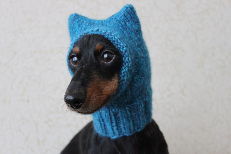 Small Dog Hat in Blue Kitty Cat Style for Mini Dachshund image 9