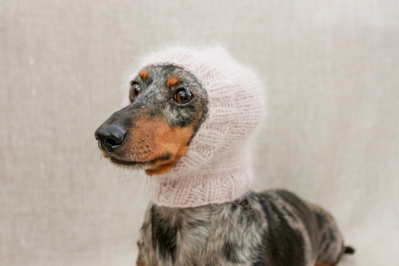 Angora Dackel Hund Hut rosa Hund Hut Baby rosa Angora Hund Etsy