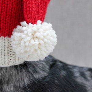 May include: A close-up of a white knitted pom-pom on a red and white knitted Santa hat. The hat is worn by a dog.