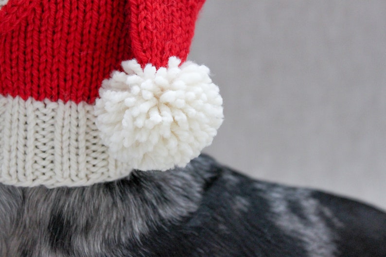 KNITTING PATTERN, Dog Santa Christmas Hat, Holiday Dog Hat, Santa Dog Hat, Dog Clothes, Dachshund Clothes Gifts, Dog Lover Gift, Pets image 7