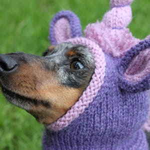 KNITTING PATTERN, Dachshund Unicorn Hood, dog hat, dogs, pet, pet costume, pets, doxie, mini, dachshund, unicorn, hat, dog clothes, dog image 5