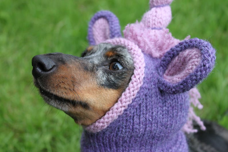 KNITTING PATTERN, Dachshund Unicorn Hood, dog hat, dogs, pet, pet costume, pets, doxie, mini, dachshund, unicorn, hat, dog clothes, dog image 5