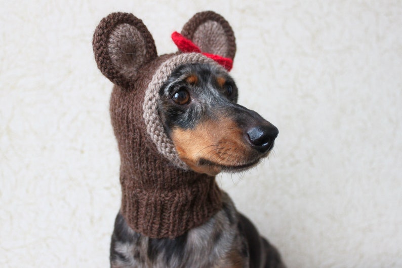 KNITTING PATTERN, Teddy Bear Dog Hat, Small Dog Bear Hat, Bear Hoodie, Bear Hood, Teddy Bear Dog Costume, Dachshund Hat, knit Doxie Hoodie image 8