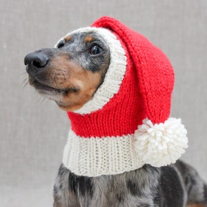 May include: A dachshund wearing a red and white knitted Santa hat with a white pom-pom.