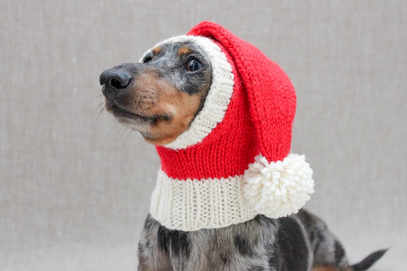 KNITTING PATTERN, Dog Santa Christmas Hat, Holiday Dog Hat, Santa Dog Hat, Dog Clothes, Dachshund Clothes Gifts, Dog Lover Gift, Pets image 4