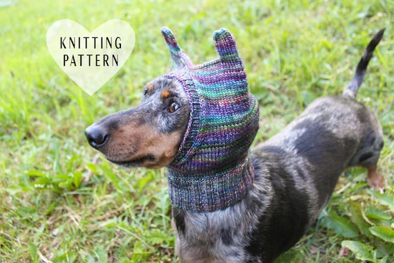 Wiener dog hat 2025