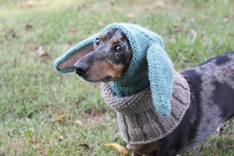 KNITTING PATTERN Small Dog Hat Costume image 3