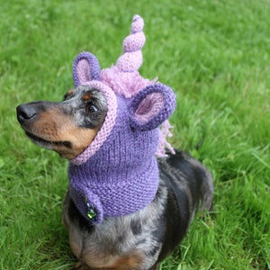 STRICKANLEITUNG, Dackel Einhorn Haube,Hundemütze,Hunde,Haustier, Haustierkostüm,Haustiere,doxie,Mini,dackel,Einhorn,Hut,Hundekleidung Bild 8