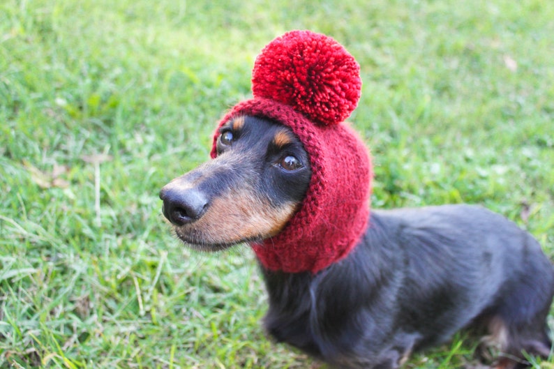 Red Dog Hat in All Natural Baby Alpaca Yarn image 7