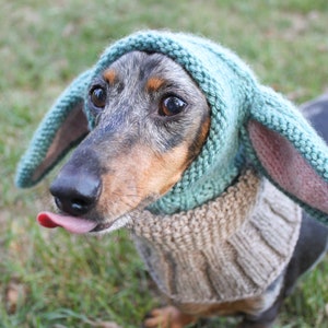 KNITTING PATTERN Small Dog Hat Costume image 5
