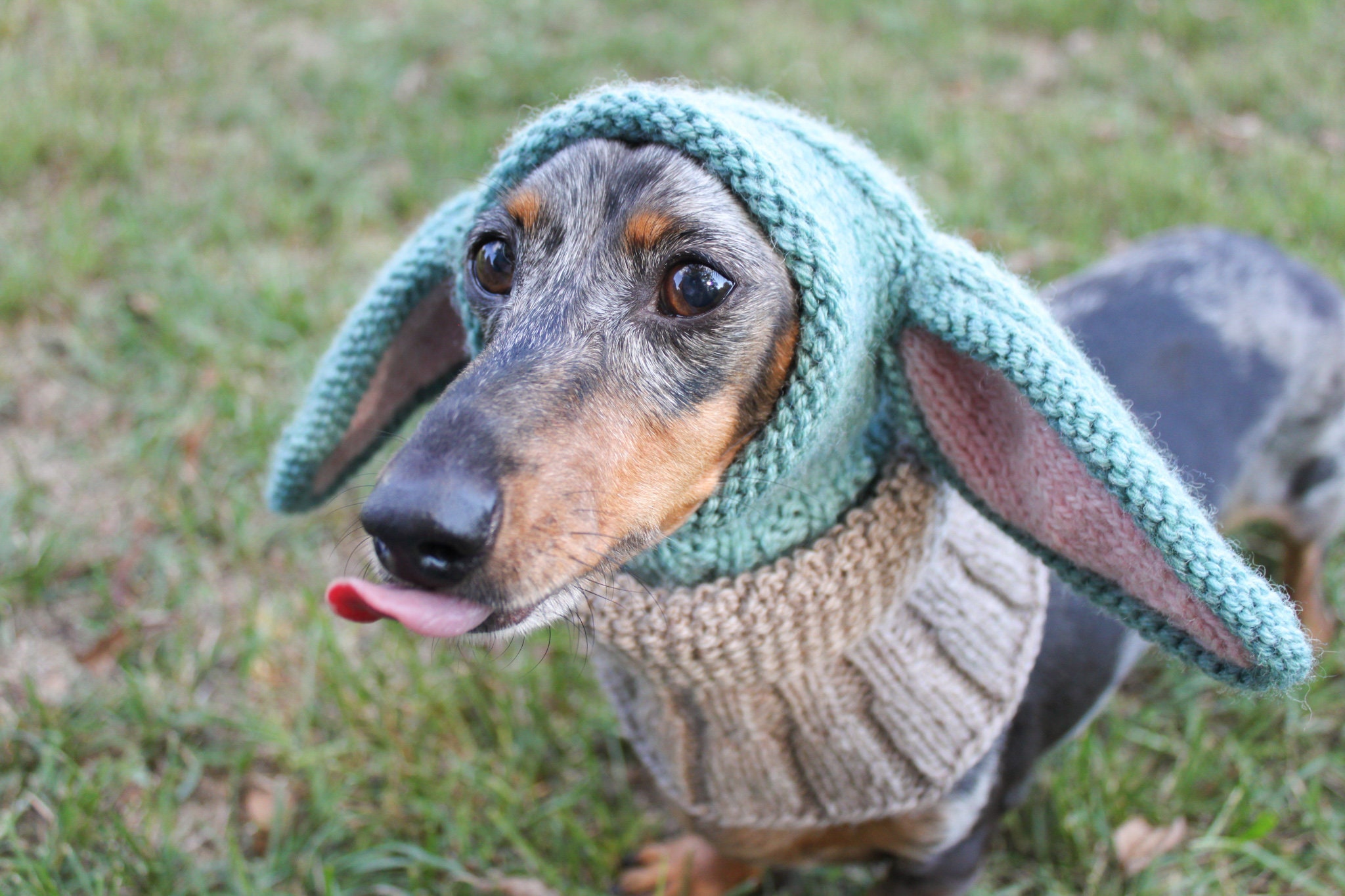 KNITTING PATTERN Small Dog Hat Costume Etsy
