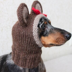 KNITTING PATTERN, Teddy Bear Dog Hat, Small Dog Bear Hat, Bear Hoodie, Bear Hood, Teddy Bear Dog Costume, Dachshund Hat, knit Doxie Hoodie image 2