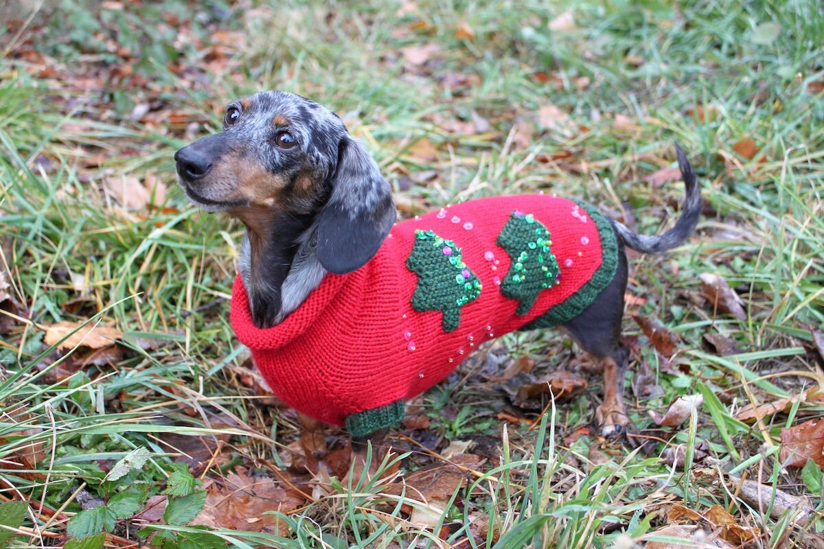 Weiner dog christmas sweater sale