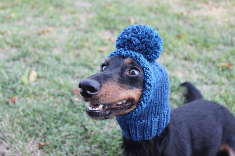 Blue Dog Hat in All Natural Wool and Alpaca image 7