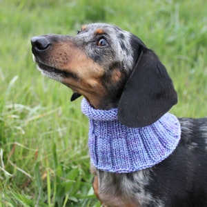 Small Dog Cowl 100% Natural Wool Purple Neck Warmer image 5