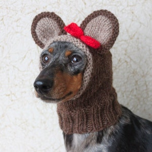 KNITTING PATTERN, Teddy Bear Dog Hat, Small Dog Bear Hat, Bear Hoodie, Bear Hood, Teddy Bear Dog Costume, Dachshund Hat, knit Doxie Hoodie image 6