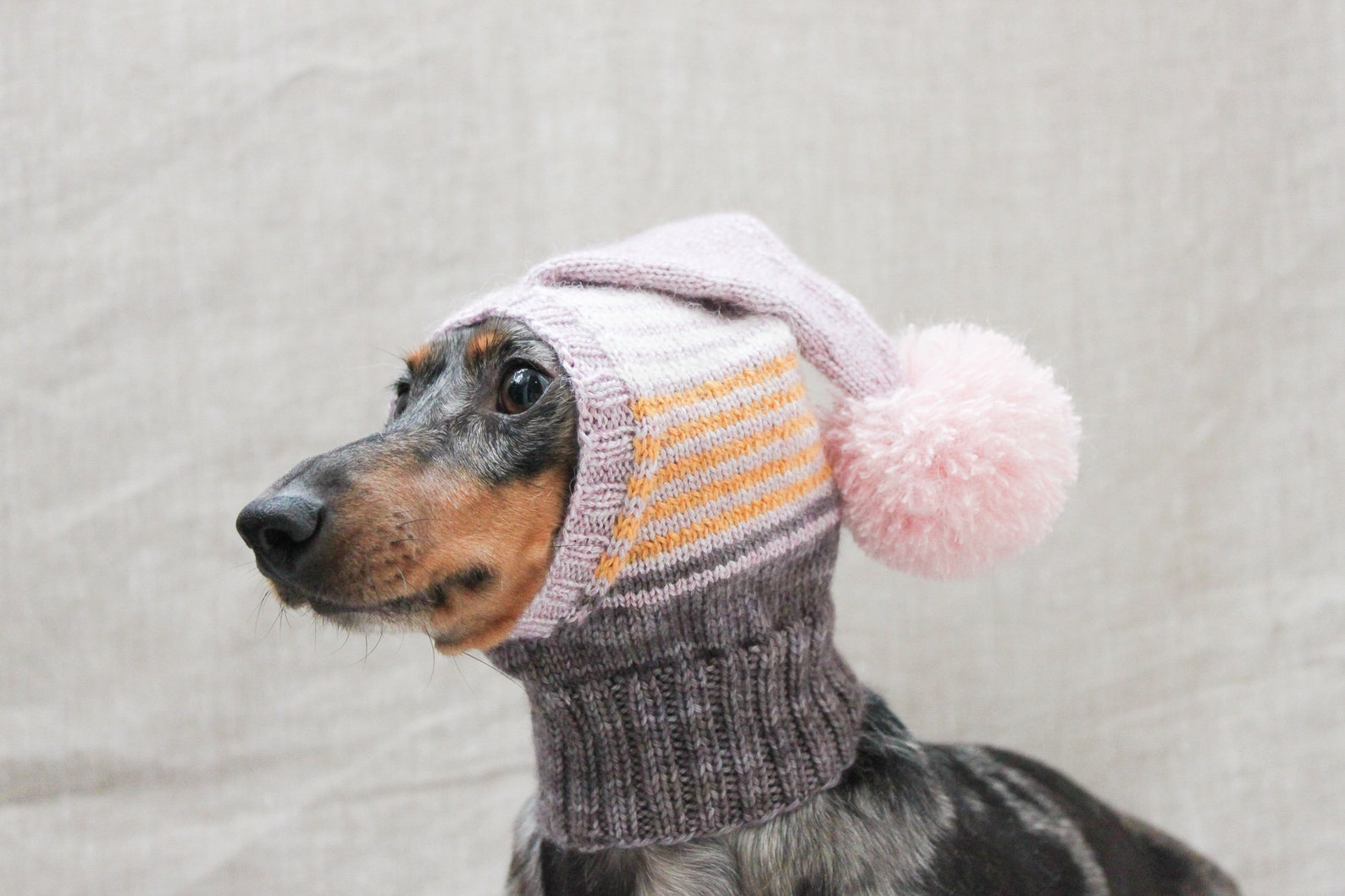 47 dachshund hat