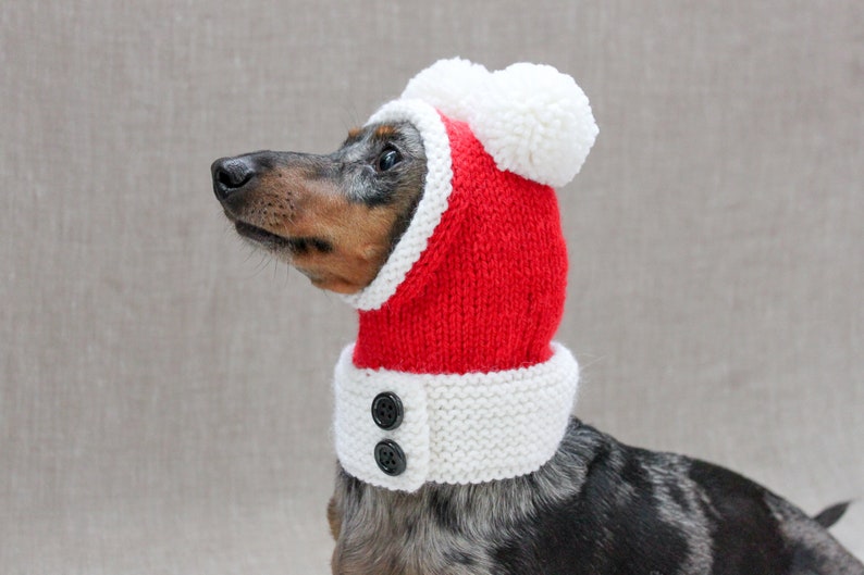 Santa Dog Hat, Dog Santa, Mini Dachshund Santa Hat, Red And White Dog Hat, Dog Gift, Dog Fashion, Dachshund Clothes, Small Dog Beanie image 5