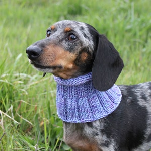 Small Dog Cowl 100% Natural Wool Purple Neck Warmer image 8