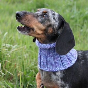 Small Dog Cowl 100% Natural Wool Purple Neck Warmer image 6