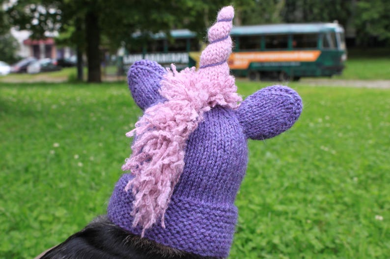 KNITTING PATTERN, Dachshund Unicorn Hood, dog hat, dogs, pet, pet costume, pets, doxie, mini, dachshund, unicorn, hat, dog clothes, dog image 3