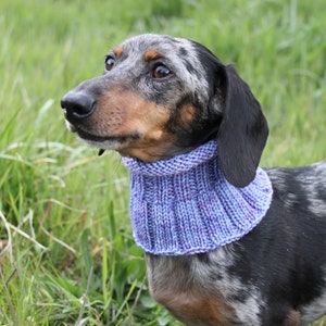 Small Dog Cowl 100% Natural Wool Purple Neck Warmer image 7