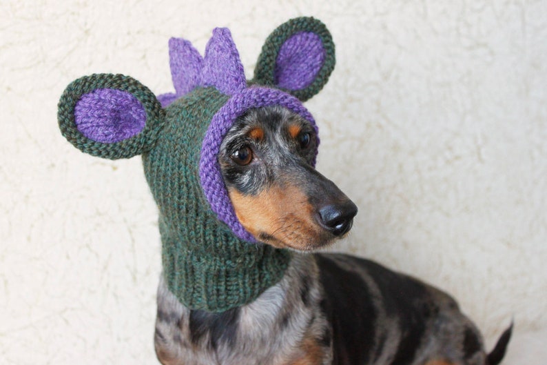 KNITTING PATTERN, Doxie Dinosaur Hat, Dog Hat, Small Dog Hat, Snood, Mini Dachshund Hat, Dino Hat, Dog Costume, Knitted Hat, Knit Pet Hat image 5