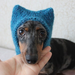 Small Dog Hat in Blue Kitty Cat Style for Mini Dachshund image 8