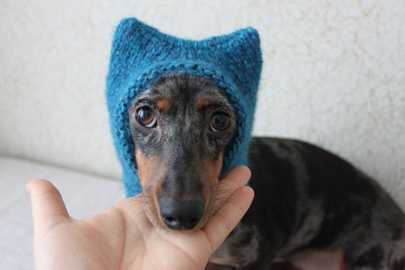 Small Dog Hat in Blue Kitty Cat Style for Mini Dachshund image 8