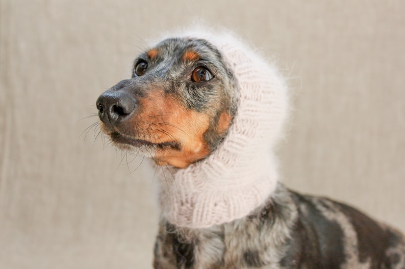 Angora Dackel Hund Hut rosa Hund Hut Baby rosa Angora Hund Etsy