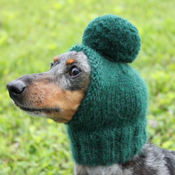 Chapeau de petit chien vert tricoté