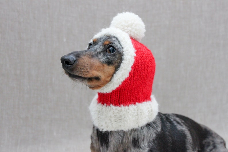 dachshund santa costume