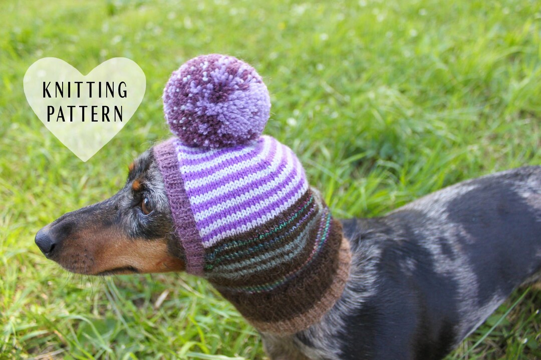 KNITTING PATTERN Mini Dachshund Dog Hat Scrap Yarn Knitted Etsy