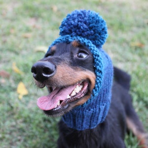 Blue Dog Hat in All Natural Wool and Alpaca image 6