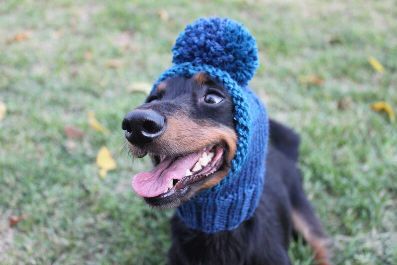 Blue Dog Hat in All Natural Wool and Alpaca image 6