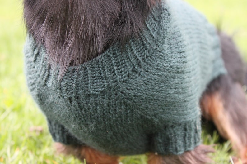 Striped Dog Sweater Free Knitting Pattern Craftfoxes Striped Dog Sweater Free Knitting Pattern Craftfoxes