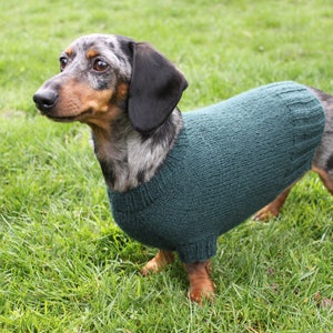 KNITTING PATTERN, Mini Dachshund, Dog Sweater, Cloud 9, pet clothes, pets, dogs, knit, knitted, DIY project, doxie, wiener dog, little dog image 9
