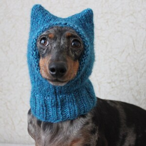 Small Dog Hat in Blue Kitty Cat Style for Mini Dachshund image 4