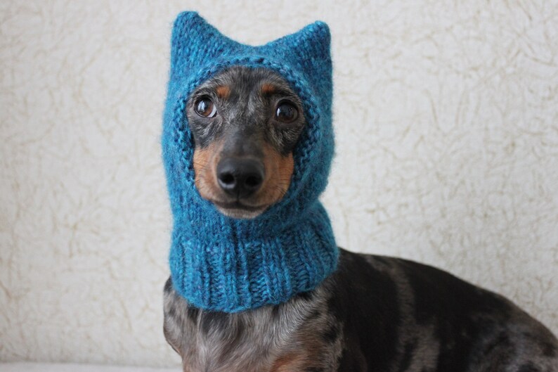 Small Dog Hat in Blue Kitty Cat Style for Mini Dachshund image 4