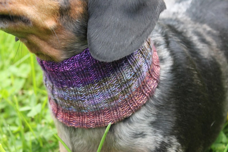 KNITTING PATTERN Dachshund Neck Warmer Dog Cowl Wiener Dog Etsy
