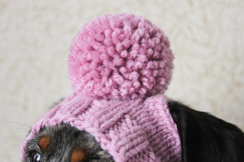 KNITTING PATTERN, Mini Dachshund Dog Hat, Small Dog Hat, Knitted Dog Hat, Dog Clothes, Dog Fashion, Dog Gift, Pet Lover Gift, Wiener Dog Hat image 6