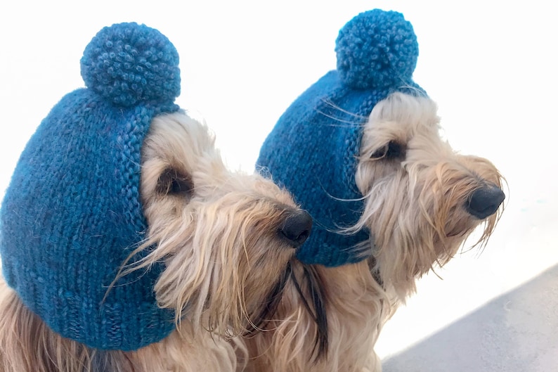 KNITTING PATTERN Dog Hat Standard Sized Dachshund Pompom Etsy