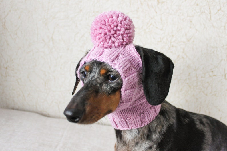 KNITTING PATTERN, Mini Dachshund Dog Hat, Small Dog Hat, Knitted Dog Hat, Dog Clothes, Dog Fashion, Dog Gift, Pet Lover Gift, Wiener Dog Hat image 8