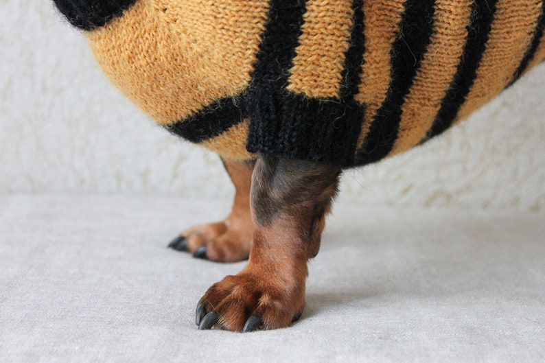 Bee Sweater Dog Lover Gift Dog Owner Gift Dog Clothes KNITTING PATTERN Dog Bee Sweater Dogs Pet Gift Dachshund Costume Dog Costume