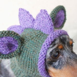 KNITTING PATTERN, Doxie Dinosaur Hat, Dog Hat, Small Dog Hat, Snood, Mini Dachshund Hat, Dino Hat, Dog Costume, Knitted Hat, Knit Pet Hat image 2