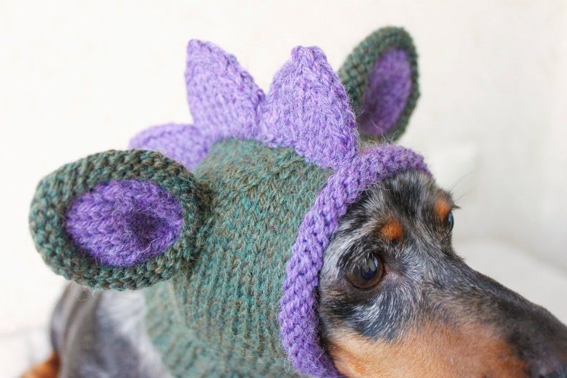 KNITTING PATTERN, Doxie Dinosaur Hat, Dog Hat, Small Dog Hat, Snood, Mini Dachshund Hat, Dino Hat, Dog Costume, Knitted Hat, Knit Pet Hat image 2