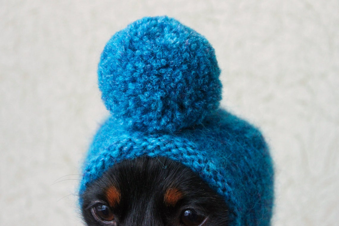 KNITTING PATTERN Pompom Dog Hat Mini Dachshund Dog Hat Etsy UK