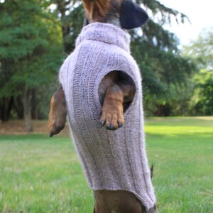 KNITTING PATTERN, Top-Down, Mini Dachshund, Dog Sweater, pet clothes, dogs, little dog, DIY project, knit, knitted, doxie, wiener dog, pets image 2