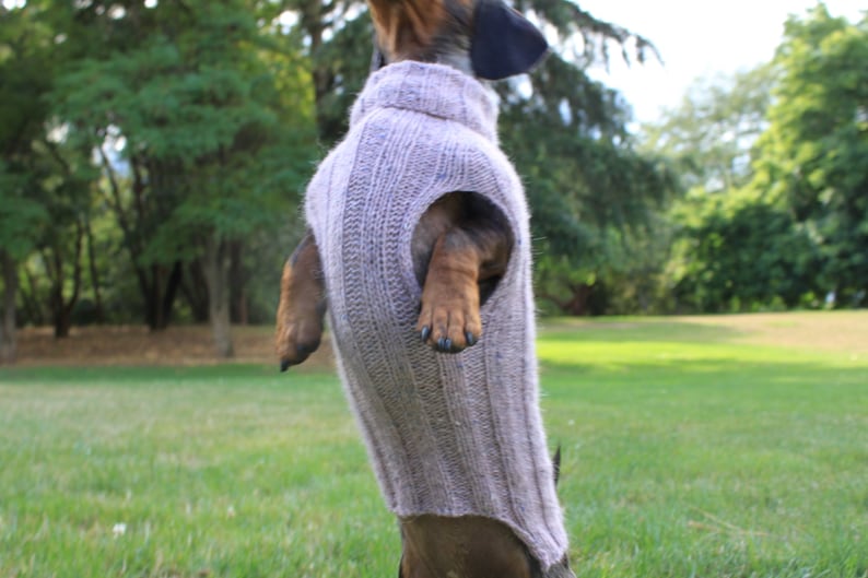 KNITTING PATTERN, Top-Down, Mini Dachshund, Dog Sweater, pet clothes, dogs, little dog, DIY project, knit, knitted, doxie, wiener dog, pets image 2