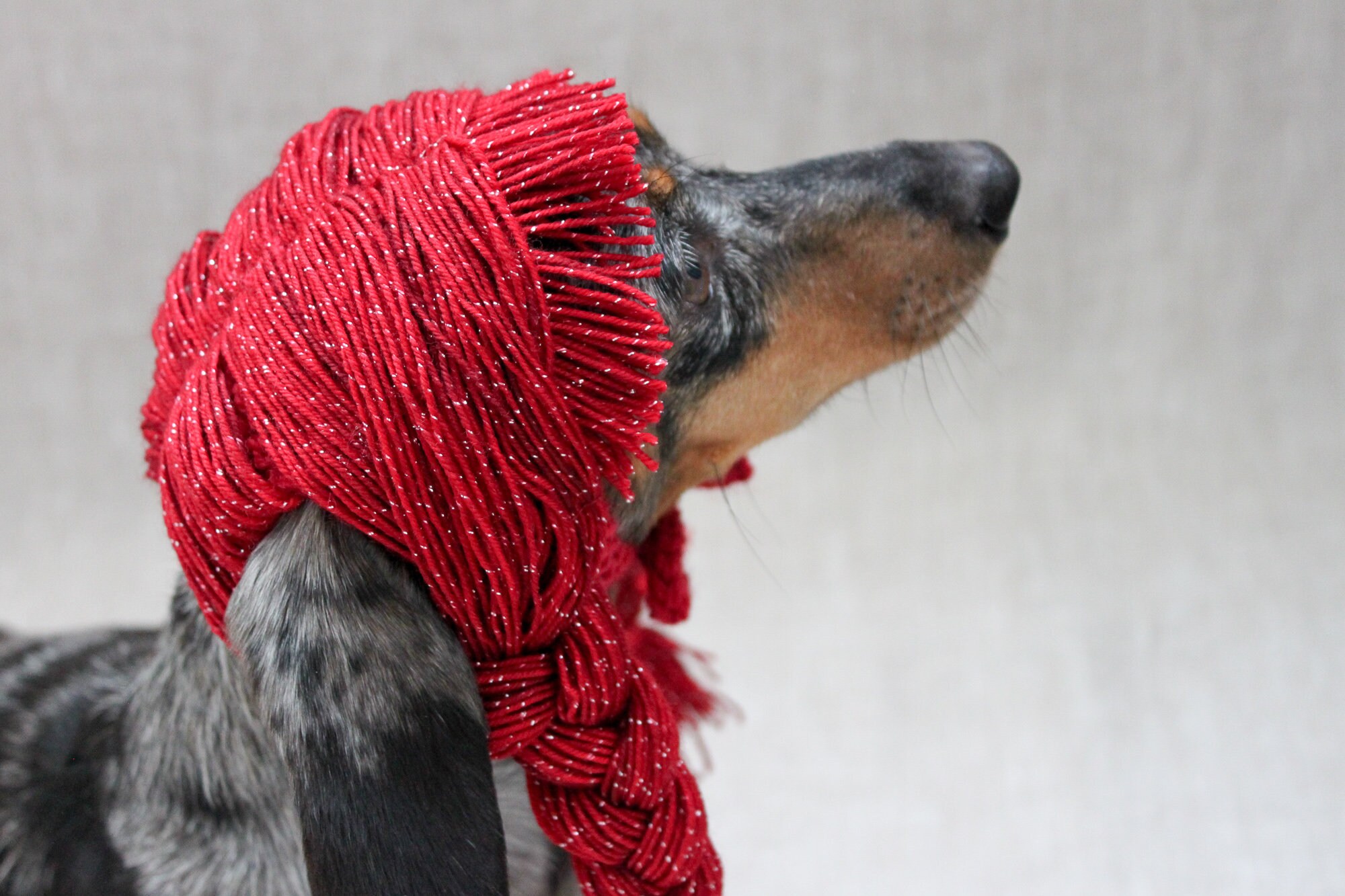 KNITTING PATTERN Dog Yarn Wig Braided Dog Wig Dog Hair Etsy